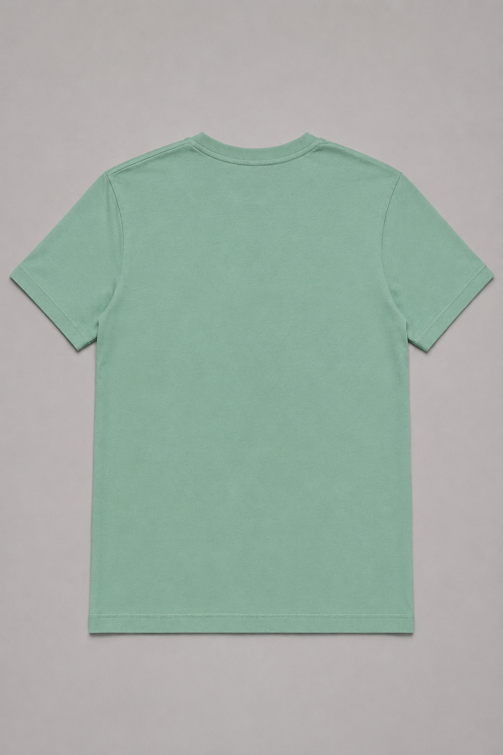 Camiseta basica huston